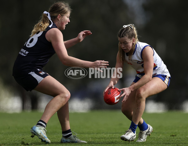 Coates Talent League Girls 2024 Second Preliminary Final - Geelong v Eastern Ranges - A-54021848