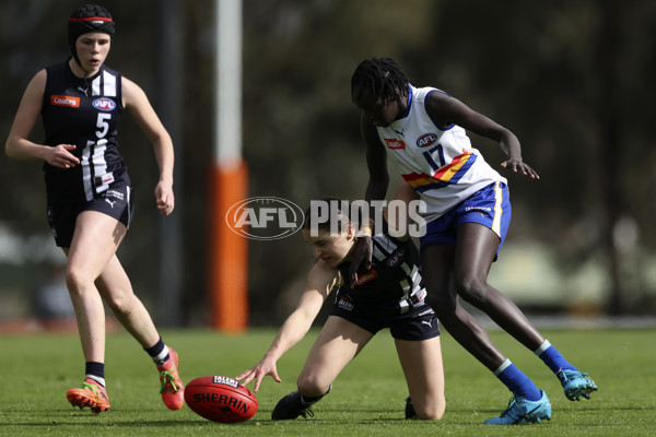 Coates Talent League Girls 2024 Second Preliminary Final - Geelong v Eastern Ranges - A-54021850