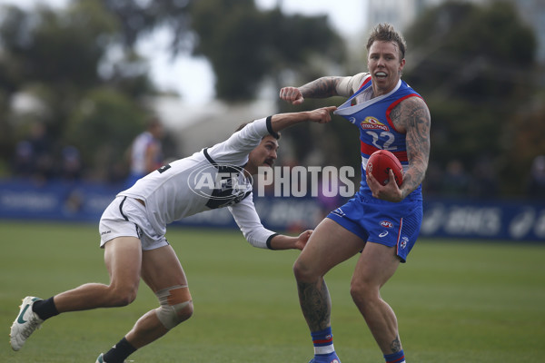 VFL 2024 Second Preliminary Final - Footscray v Southport - A-54024309