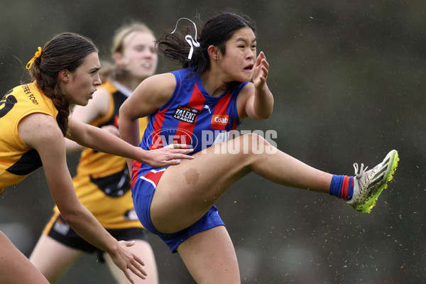 Coates League Girls 2024 First Preliminary Final - Oakleigh v Dandenong - A-54027915