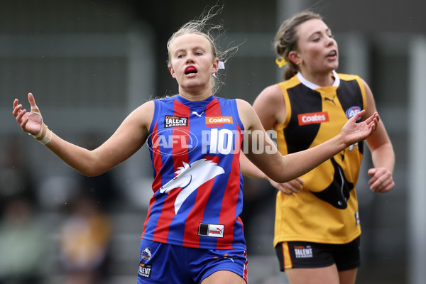 Coates League Girls 2024 First Preliminary Final - Oakleigh v Dandenong - A-54027919