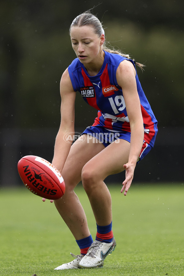 Coates League Girls 2024 First Preliminary Final - Oakleigh v Dandenong - A-54027920