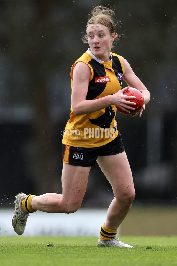 Coates League Girls 2024 First Preliminary Final - Oakleigh v Dandenong - A-54027921