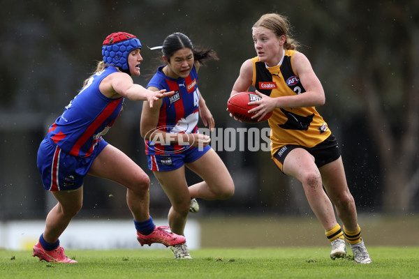 Coates League Girls 2024 First Preliminary Final - Oakleigh v Dandenong - A-54027922