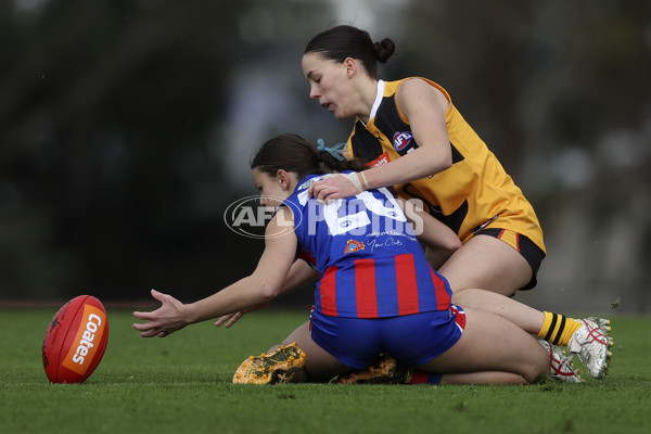 Coates League Girls 2024 First Preliminary Final - Oakleigh v Dandenong - A-54029478