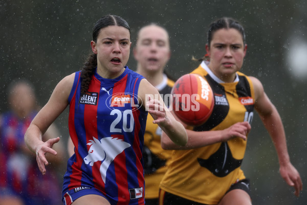 Coates League Girls 2024 First Preliminary Final - Oakleigh v Dandenong - A-54029480