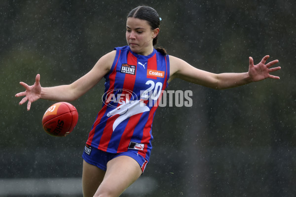 Coates League Girls 2024 First Preliminary Final - Oakleigh v Dandenong - A-54029481