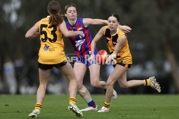 Coates League Girls 2024 First Preliminary Final - Oakleigh v Dandenong - A-54029482