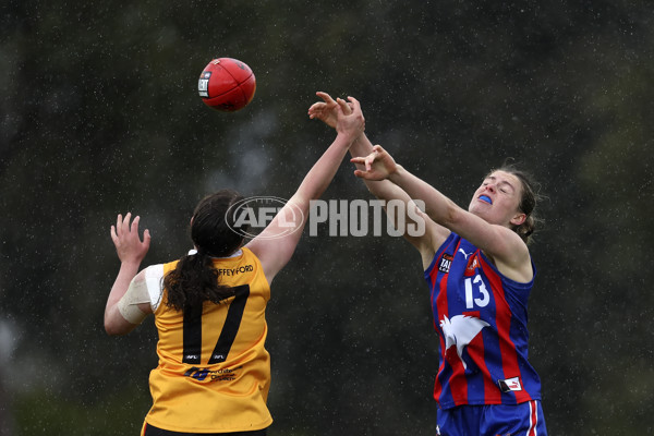 Coates League Girls 2024 First Preliminary Final - Oakleigh v Dandenong - A-54029483