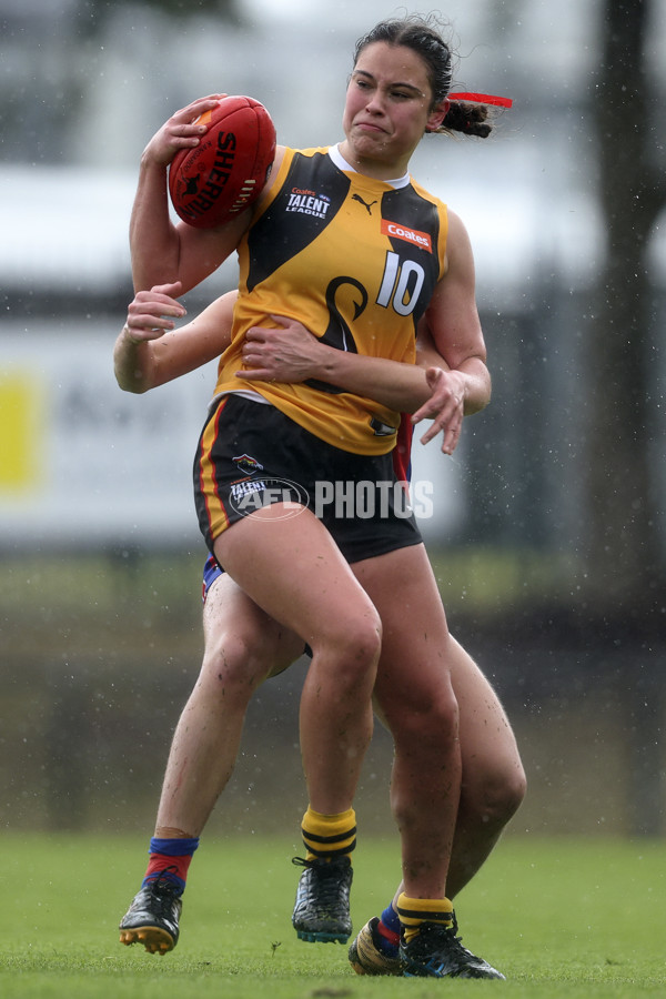 Coates League Girls 2024 First Preliminary Final - Oakleigh v Dandenong - A-54029484