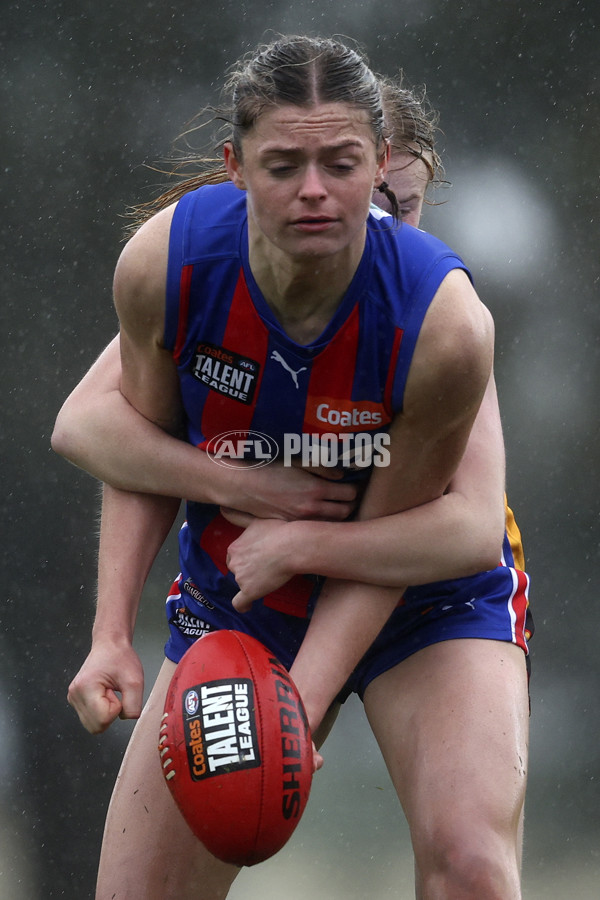 Coates League Girls 2024 First Preliminary Final - Oakleigh v Dandenong - A-54029485