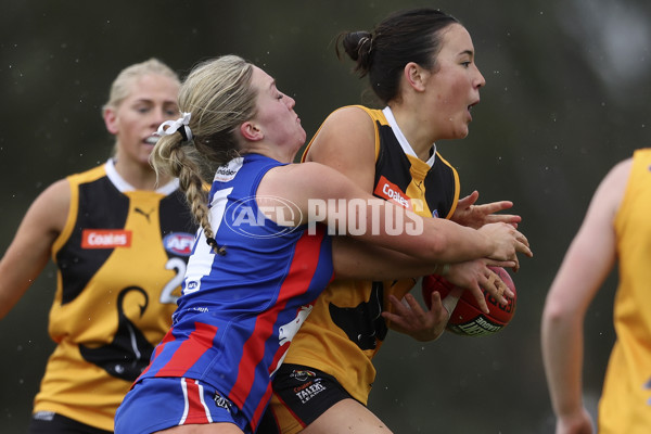 Coates League Girls 2024 First Preliminary Final - Oakleigh v Dandenong - A-54029494