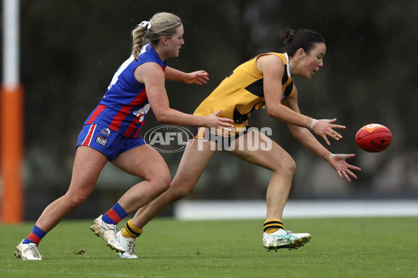 Coates League Girls 2024 First Preliminary Final - Oakleigh v Dandenong - A-54029495