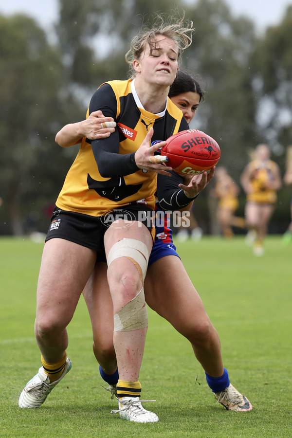 Coates League Girls 2024 First Preliminary Final - Oakleigh v Dandenong - A-54029498