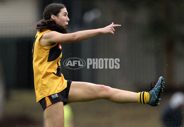 Coates League Girls 2024 First Preliminary Final - Oakleigh v Dandenong - A-54029508