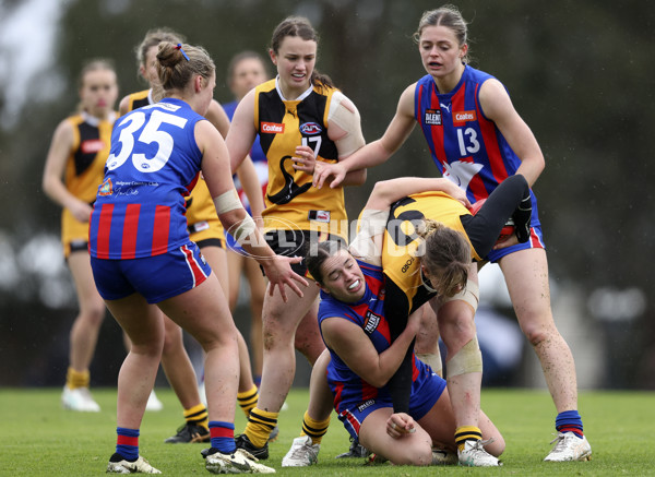 Coates League Girls 2024 First Preliminary Final - Oakleigh v Dandenong - A-54029512