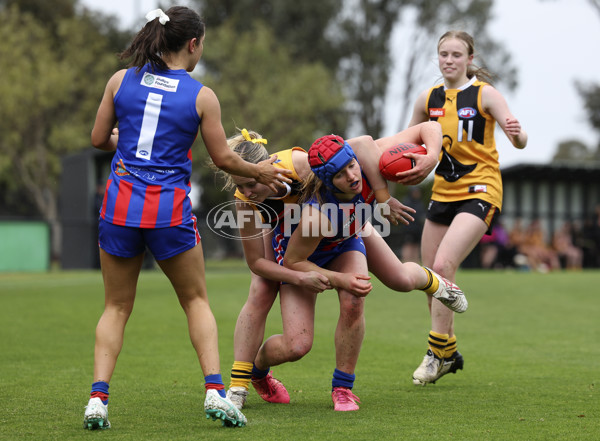 Coates League Girls 2024 First Preliminary Final - Oakleigh v Dandenong - A-54029513