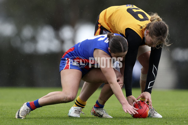 Coates League Girls 2024 First Preliminary Final - Oakleigh v Dandenong - A-54029514