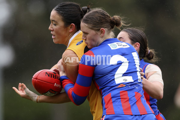 Coates League Girls 2024 First Preliminary Final - Oakleigh v Dandenong - A-54029515