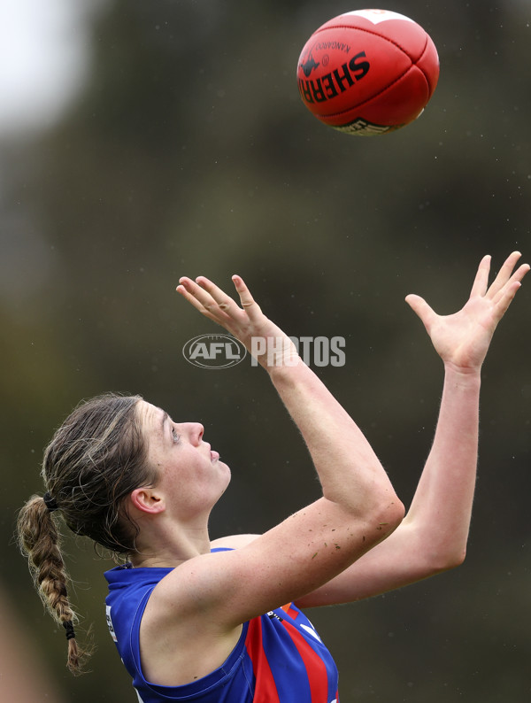 Coates League Girls 2024 First Preliminary Final - Oakleigh v Dandenong - A-54029516