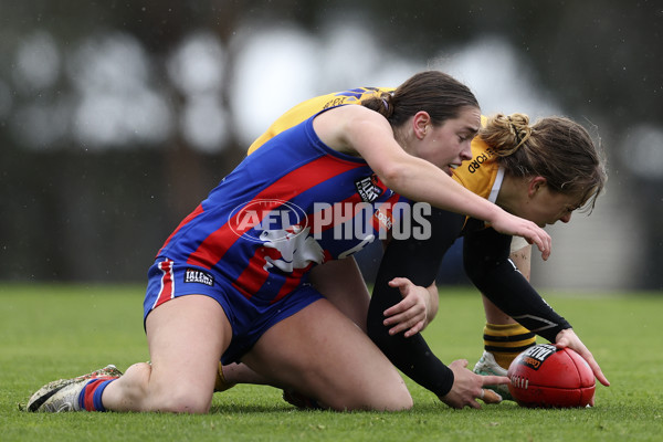 Coates League Girls 2024 First Preliminary Final - Oakleigh v Dandenong - A-54029517