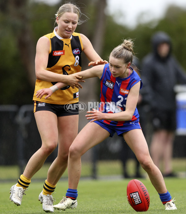 Coates League Girls 2024 First Preliminary Final - Oakleigh v Dandenong - A-54029520