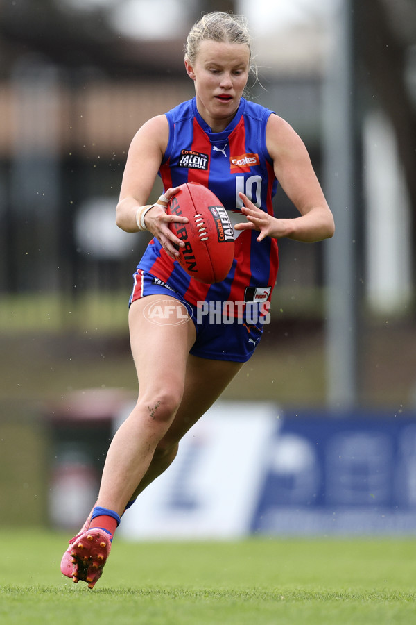 Coates League Girls 2024 First Preliminary Final - Oakleigh v Dandenong - A-54029533