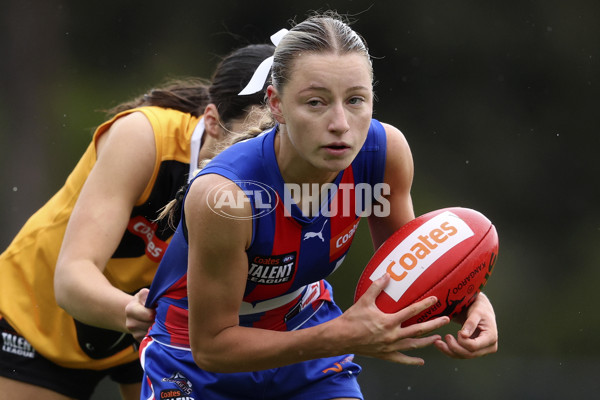 Coates League Girls 2024 First Preliminary Final - Oakleigh v Dandenong - A-54029541