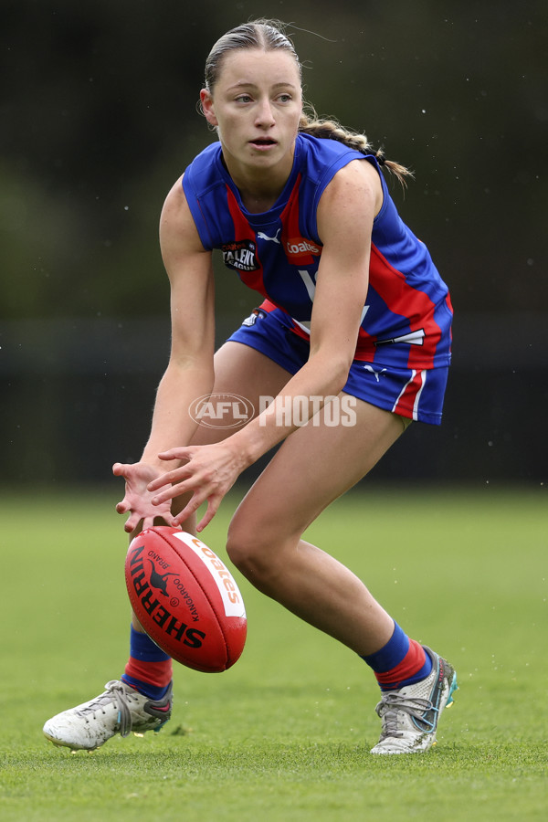 Coates League Girls 2024 First Preliminary Final - Oakleigh v Dandenong - A-54029542