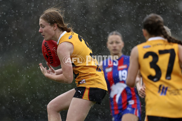 Coates League Girls 2024 First Preliminary Final - Oakleigh v Dandenong - A-54031368