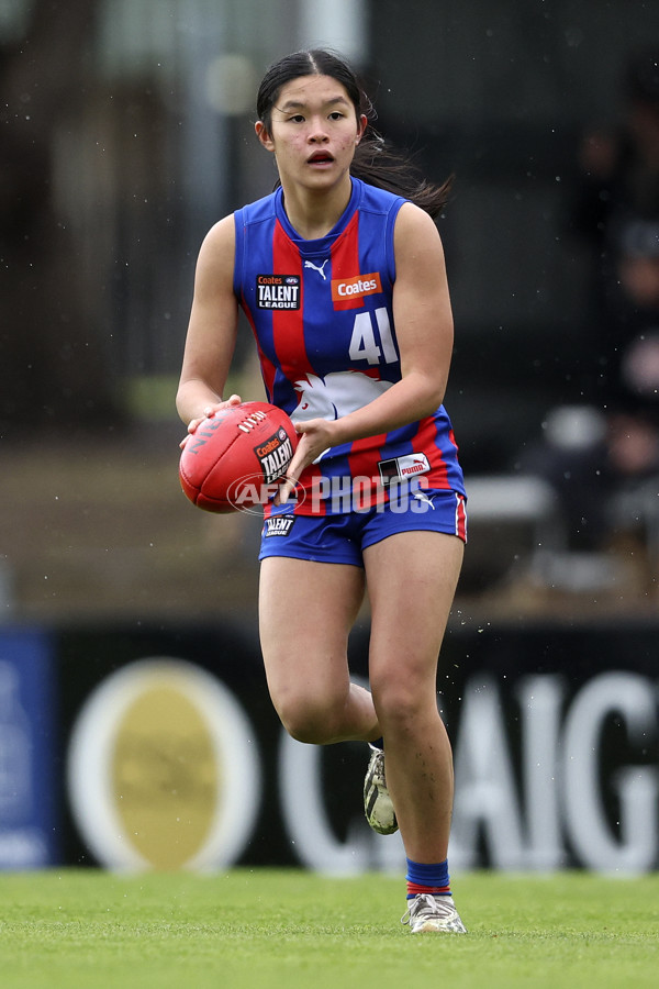 Coates League Girls 2024 First Preliminary Final - Oakleigh v Dandenong - A-54031369