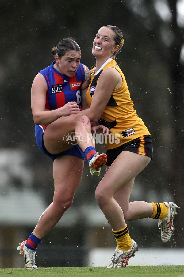 Coates League Girls 2024 First Preliminary Final - Oakleigh v Dandenong - A-54031370