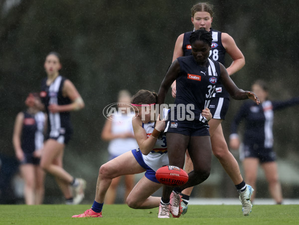 Coates Talent League Girls 2024 Second Preliminary Final - Geelong v Eastern Ranges - A-54031939