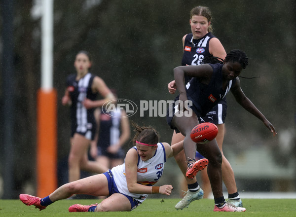 Coates Talent League Girls 2024 Second Preliminary Final - Geelong v Eastern Ranges - A-54031940