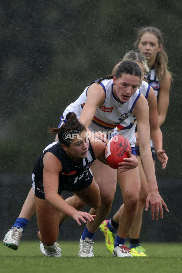 Coates Talent League Girls 2024 Second Preliminary Final - Geelong v Eastern Ranges - A-54031943