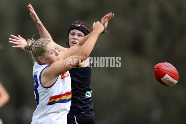 Coates Talent League Girls 2024 Second Preliminary Final - Geelong v Eastern Ranges - A-54031953