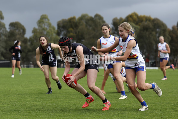 Coates Talent League Girls 2024 Second Preliminary Final - Geelong v Eastern Ranges - A-54031954