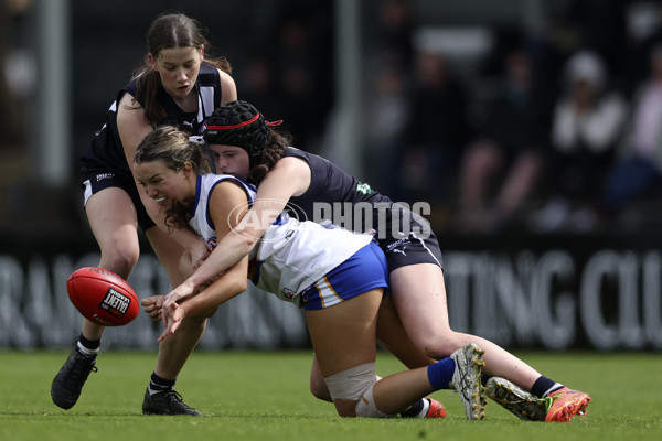 Coates Talent League Girls 2024 Second Preliminary Final - Geelong v Eastern Ranges - A-54031959