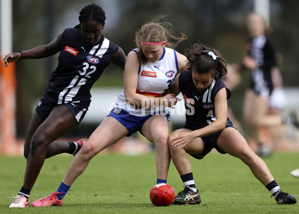 Coates Talent League Girls 2024 Second Preliminary Final - Geelong v Eastern Ranges - A-54031962