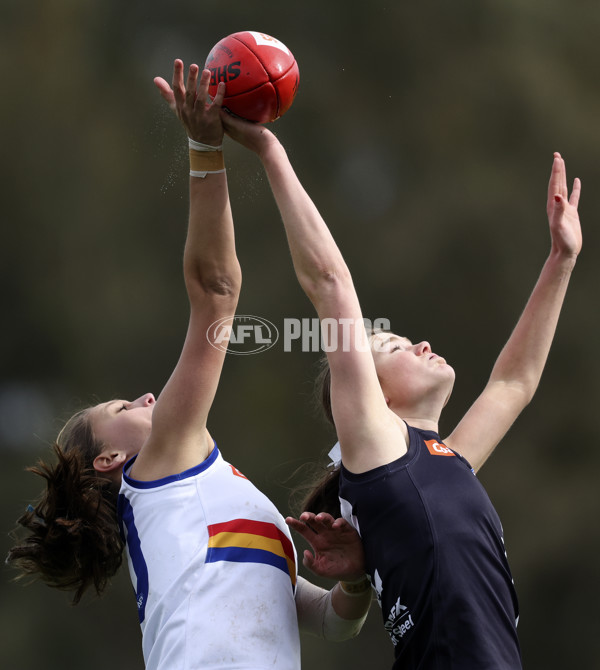 Coates Talent League Girls 2024 Second Preliminary Final - Geelong v Eastern Ranges - A-54031963