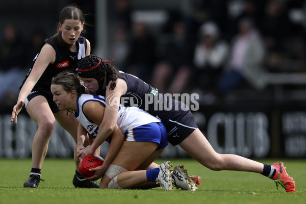 Coates Talent League Girls 2024 Second Preliminary Final - Geelong v Eastern Ranges - A-54031964