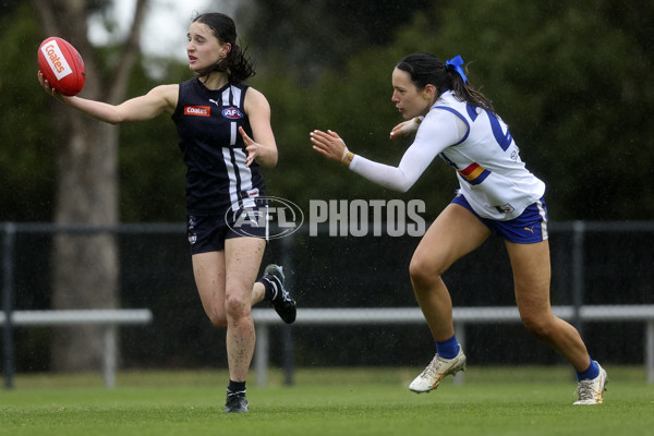 Coates Talent League Girls 2024 Second Preliminary Final - Geelong v Eastern Ranges - A-54033689