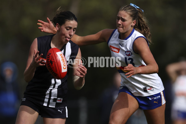 Coates Talent League Girls 2024 Second Preliminary Final - Geelong v Eastern Ranges - A-54033691