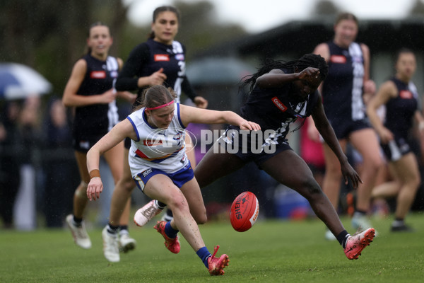 Coates Talent League Girls 2024 Second Preliminary Final - Geelong v Eastern Ranges - A-54033699