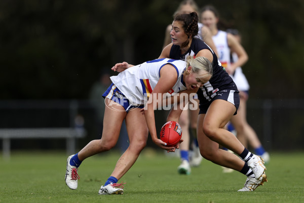 Coates Talent League Girls 2024 Second Preliminary Final - Geelong v Eastern Ranges - A-54033710