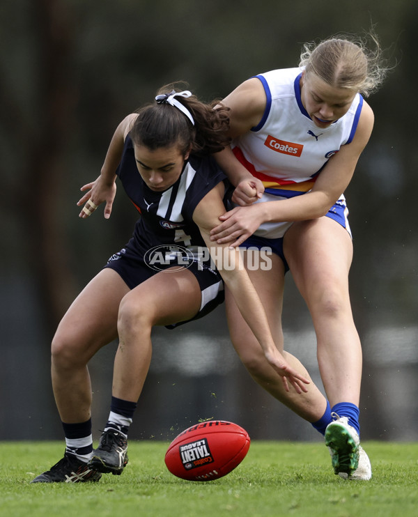 Coates Talent League Girls 2024 Second Preliminary Final - Geelong v Eastern Ranges - A-54033712