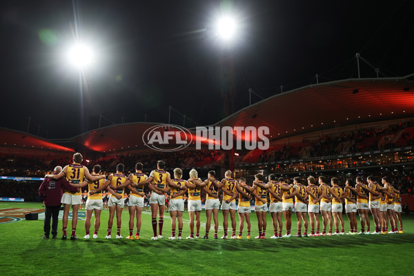 AFL 2024 First Semi Final - GWS v Brisbane - A-54039282