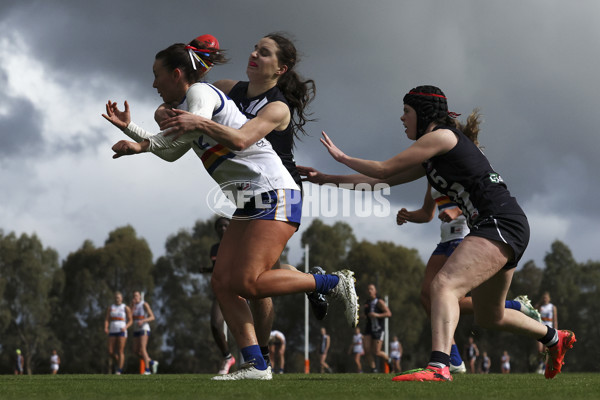 Coates Talent League Girls 2024 Second Preliminary Final - Geelong v Eastern Ranges - A-54056856