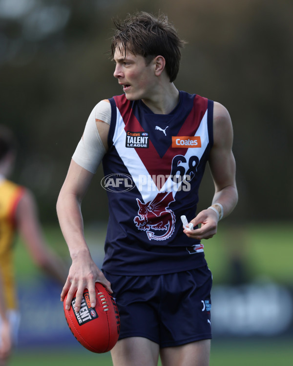 Coates League Boys 2024 First Preliminary Final - Sandringham v Dandenong - A-54056886