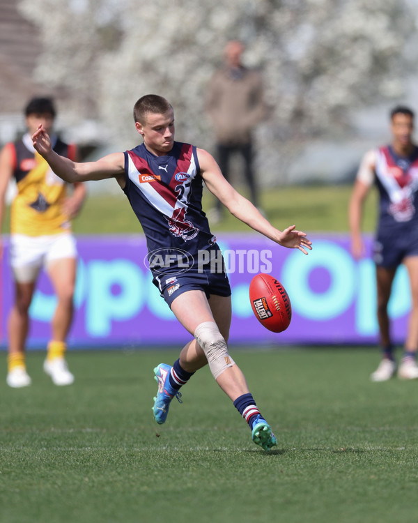 Coates League Boys 2024 First Preliminary Final - Sandringham v Dandenong - A-54056888